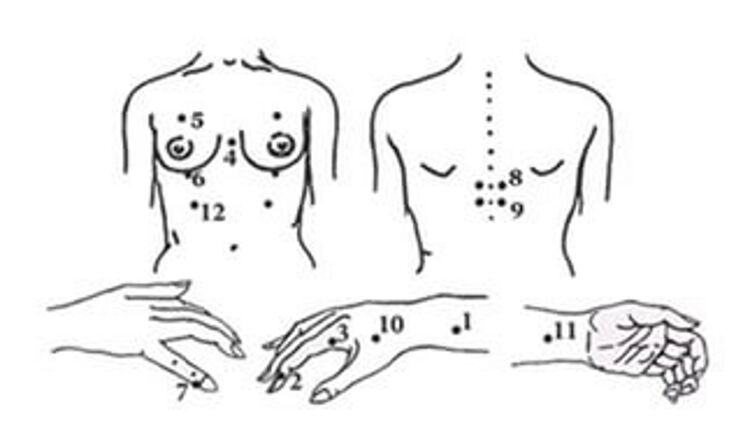 Points on the body for Japanese Shiatsu massage